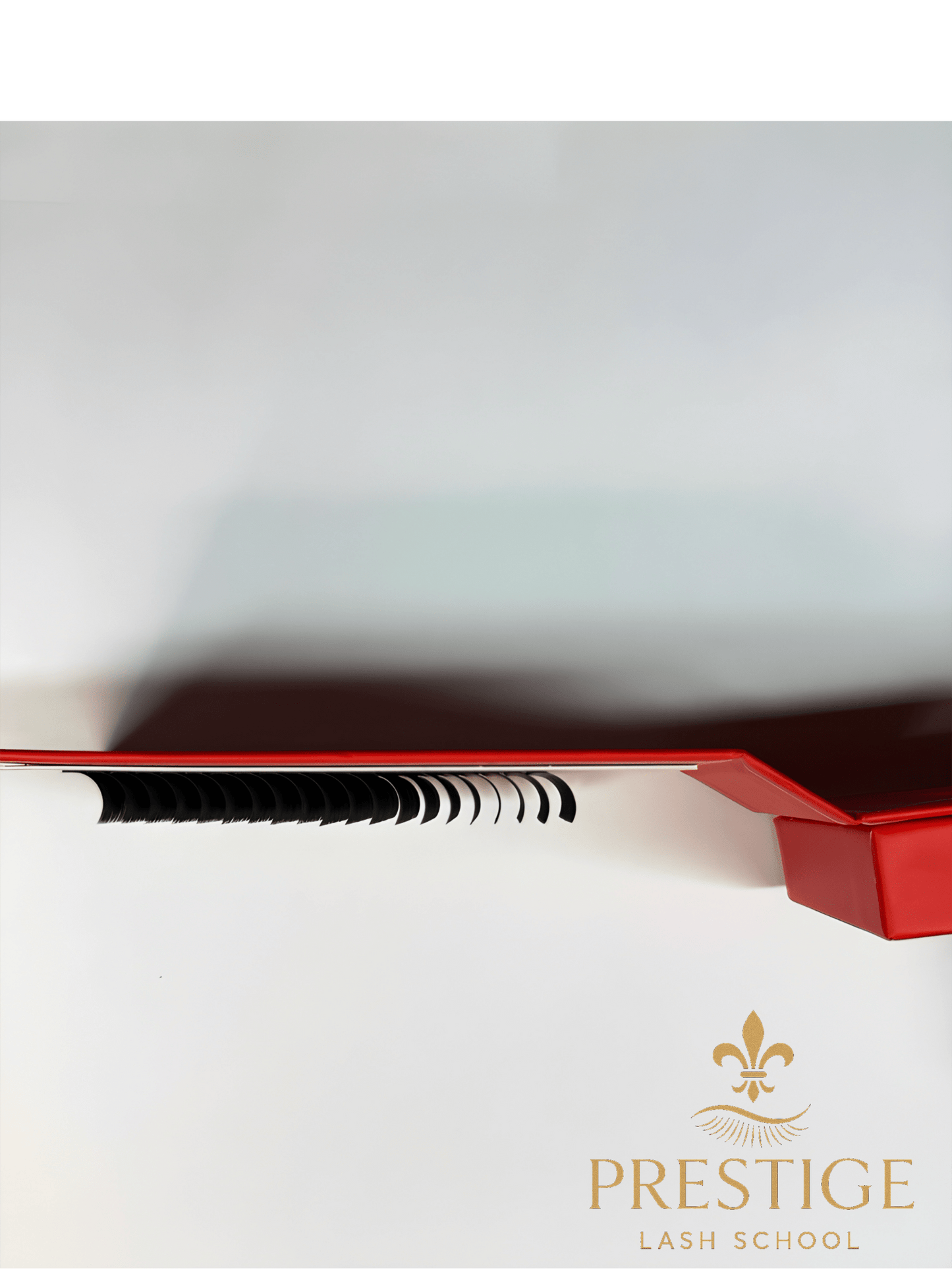 Scatola ciglia Premium Matte Prestige Lash School vista frontale, design rosso con dettagli oro